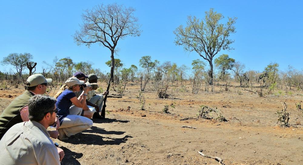 Hoyo Hoyo Safari Lodge Mluwati Concession Luaran gambar