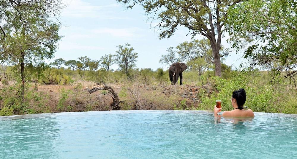 Hoyo Hoyo Safari Lodge Mluwati Concession Luaran gambar
