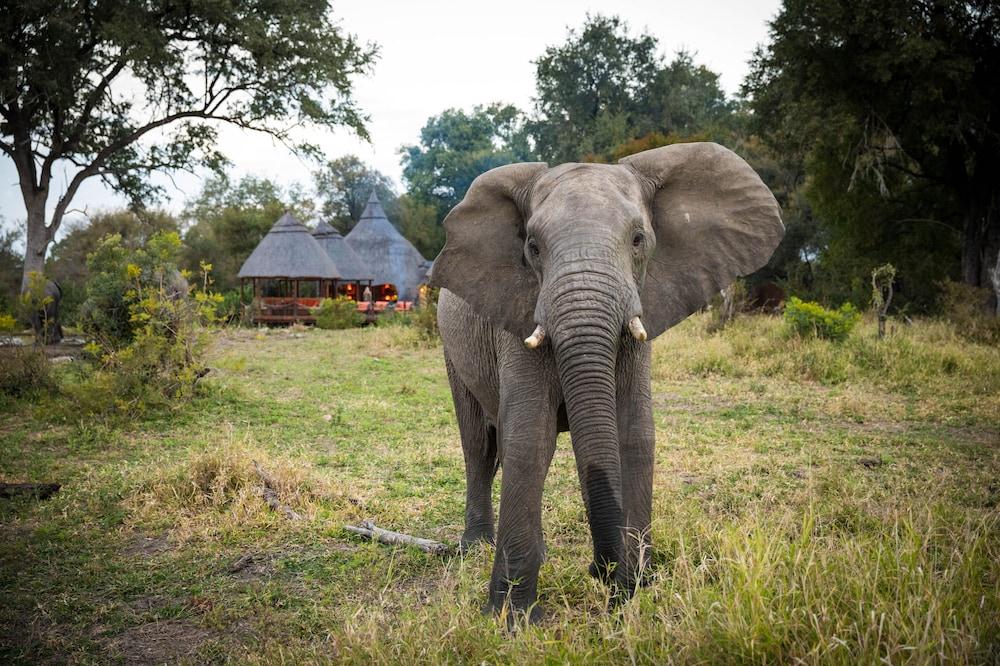 Hoyo Hoyo Safari Lodge Mluwati Concession Luaran gambar