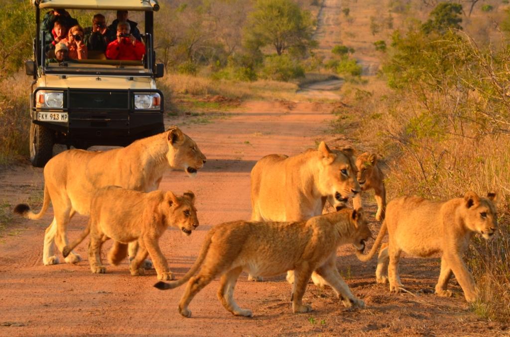 Hoyo Hoyo Safari Lodge Mluwati Concession Luaran gambar