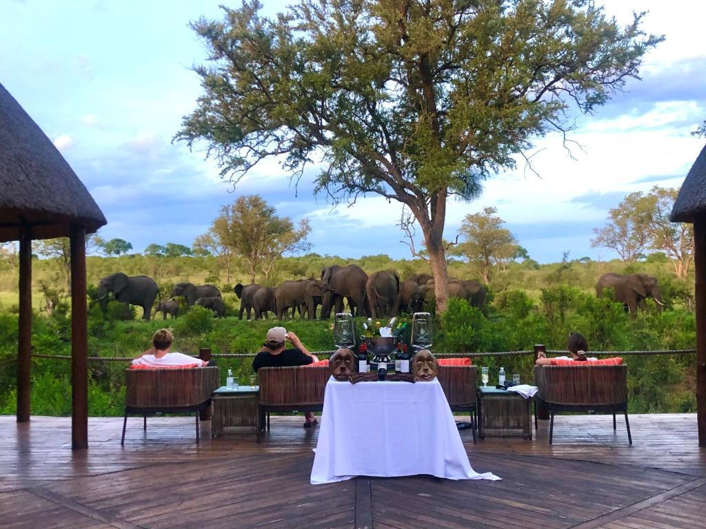 Hoyo Hoyo Safari Lodge Mluwati Concession Luaran gambar