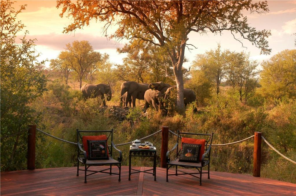 Hoyo Hoyo Safari Lodge Mluwati Concession Luaran gambar